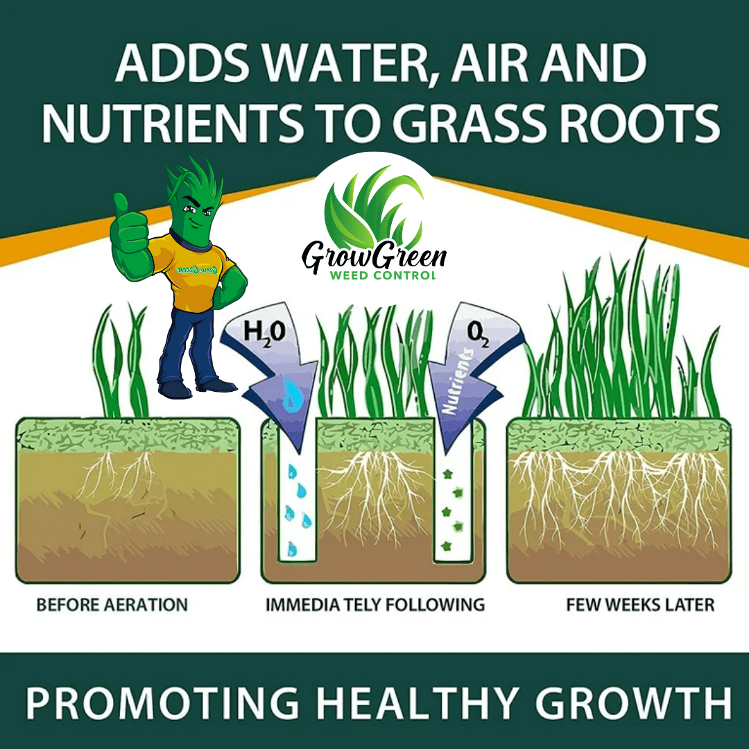 Diagram showing how aeration improves water, air, and nutrient flow to roots