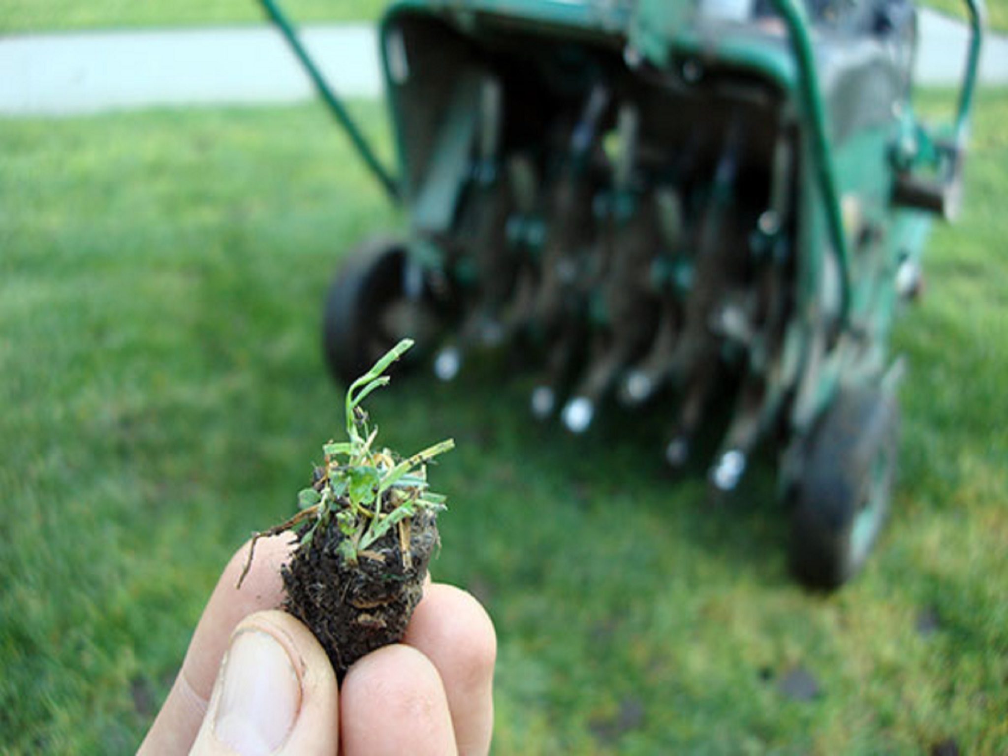 Core plug close-up after aeration